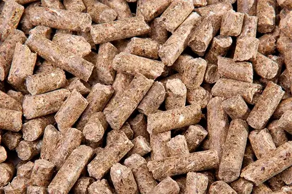 Dry spent grain (granule)